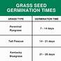 Grass Seed Germination Time Chart