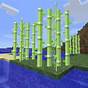 Sugarcane Seeds Minecraft