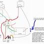 8n Ford Tractor 12 Volt Wiring Diagram
