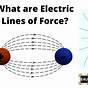 Force Diagram Electric