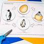 Penguin Life Cycle Video