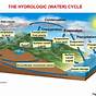 Examples Of Biogeochemical Cycles
