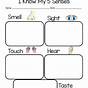 Kindergarten Senses Worksheets