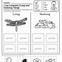 Science Worksheets For 1st Graders