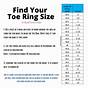 Toe Ring Size Chart