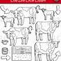 Cow Life Cycle Pictures