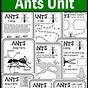 From Ants To Grizzlies Worksheet