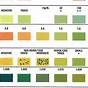 Urinalysis Test Strips Results Chart
