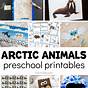 Arctic Animals Preschool Printables Free