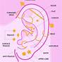 Ear Piercing Pain Chart Scale