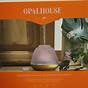 Opalhouse Diffuser Manual