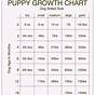 Husky Puppy Weight Chart
