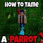 Tame Parrot Minecraft