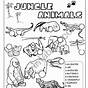 Jungle Animals Worksheet