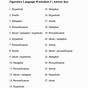 Figurative Language Worksheet 2