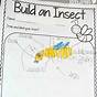 Insect Activities For Kindergarten