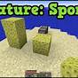 Sponge On Minecraft