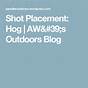 Hog Shot Placement Chart