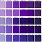 Color Chart Shades Purple