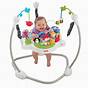 Fisher Price Jumperoo Manual