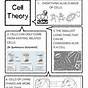 The Cell Theory Worksheets