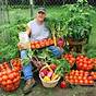 Best Fertilizer Ratio For Vegetable Garden