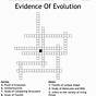 Evidence For Evolution Worksheet
