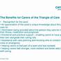 Triangle Of Care Carers