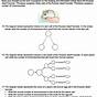 Compare Mitosis And Meiosis Worksheet