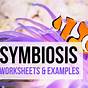 Symbiosis Practice Worksheets