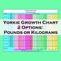 Full Size Yorkie Growth Chart
