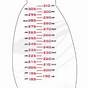 Edea Skates Blade Size Chart