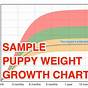 American Bully Weight Chart