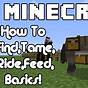 How To Feed A Horse On Minecraft