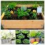 Container Sizes For Growing Vegetables