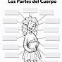 Spanish Worksheets Body Parts