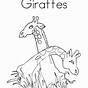 Printable Pictures Of Giraffes