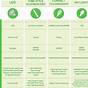 Outdoor Plant Light Requirements Chart