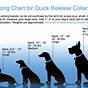 Dog Collars Size Chart