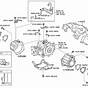 Toyota Rav4 Differential Fluid Capacity