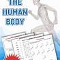 Body Image Worksheets For Adults