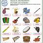 Worksheets On Musical Instruments