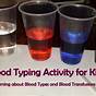 Blood Typing Online Activity