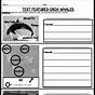 Non Fiction Text Features Worksheet