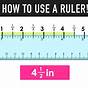 Measure In Inches Worksheets