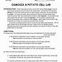 Osmosis Potato Experiment Exam Questions