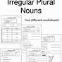 Worksheets On Irregular Plural Nouns