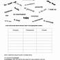 Transitions Practice Worksheets