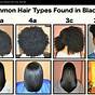 Hair Length Chart Black Male