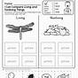 Free Kindergarten Curriculum Printables